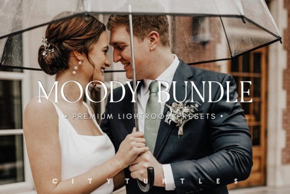 Download MOODY BUNDLE Portrait Lightroom Presets - Light Collection